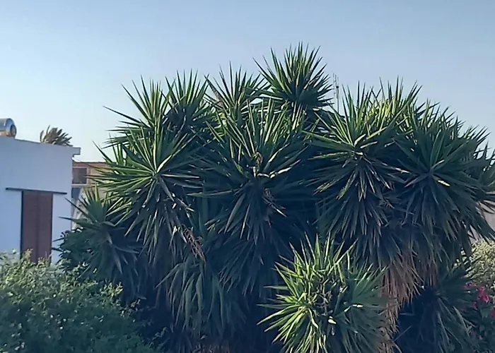 Ioli's - Medieval Town